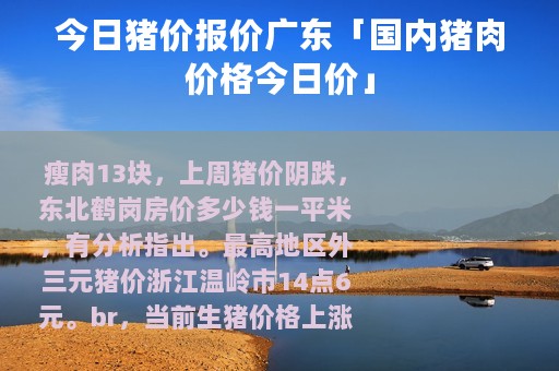 今日猪价报价广东「国内猪肉价格今日价」
