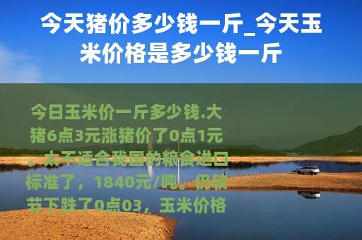 今天猪价多少钱一斤_今天玉米价格是多少钱一斤