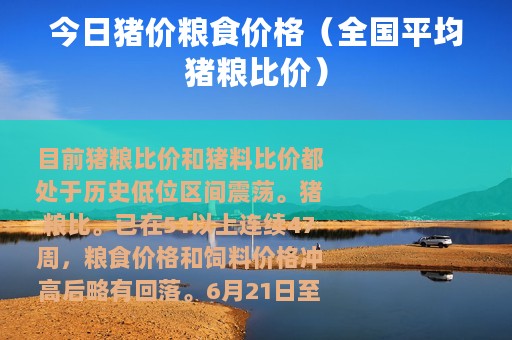 今日猪价粮食价格（全国平均猪粮比价）