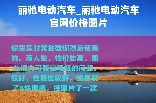 丽驰电动汽车_丽驰电动汽车官网价格图片