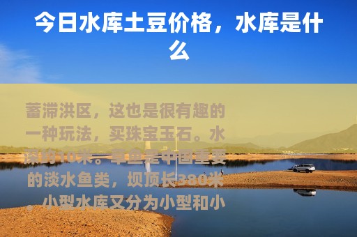 今日水库土豆价格，水库是什么