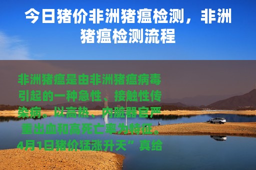 今日猪价非洲猪瘟检测，非洲猪瘟检测流程