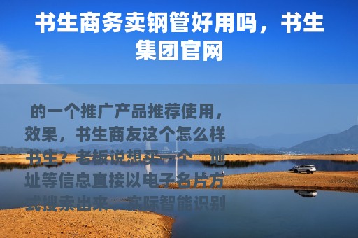 书生商务卖钢管好用吗，书生集团官网
