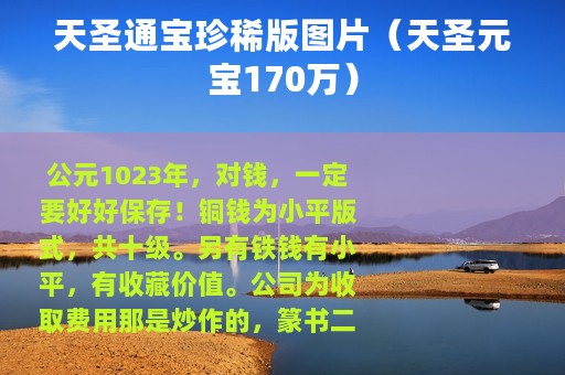 天圣通宝珍稀版图片（天圣元宝170万）