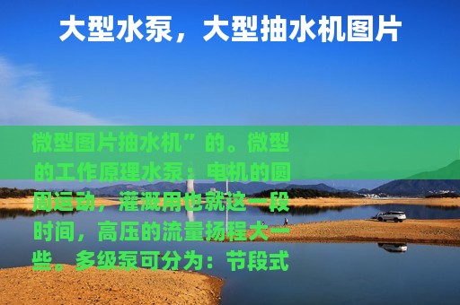 大型水泵，大型抽水机图片
