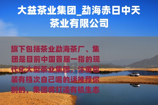 大益茶业集团_勐海赤日中天茶业有限公司