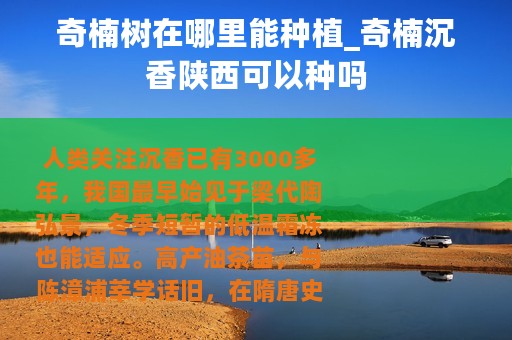 奇楠树在哪里能种植_奇楠沉香陕西可以种吗