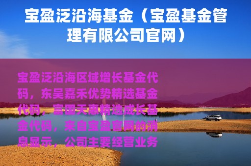 宝盈泛沿海基金（宝盈基金管理有限公司官网）