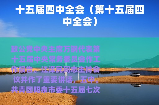 十五届四中全会（第十五届四中全会）