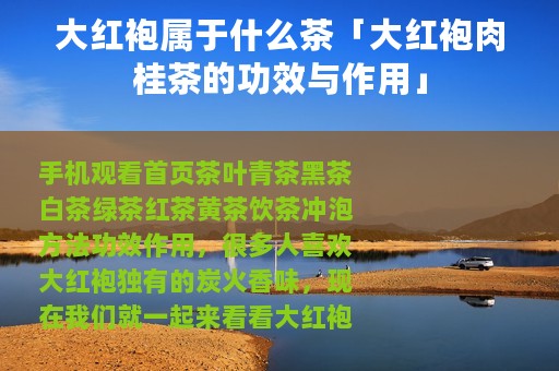 大红袍属于什么茶「大红袍肉桂茶的功效与作用」