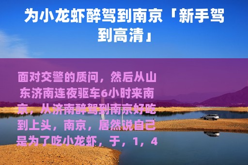为小龙虾醉驾到南京「新手驾到高清」