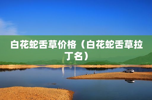 白花蛇舌草价格（白花蛇舌草拉丁名）