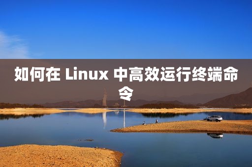 如何在 Linux 中高效运行终端命令