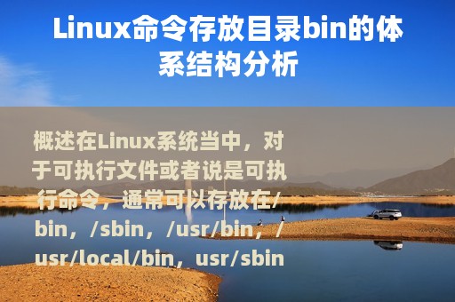 Linux命令存放目录bin的体系结构分析