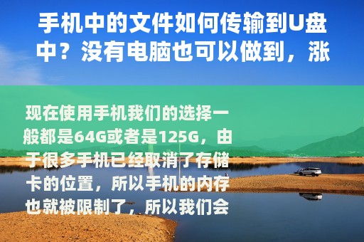 手机中的文件如何传输到U盘中？没有电脑也可以做到，涨知识了
