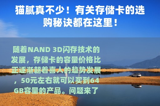 猫腻真不少！有关存储卡的选购秘诀都在这里！