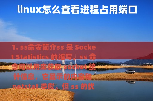 linux怎么查看进程占用端口