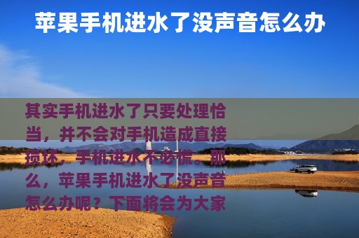 苹果手机进水了没声音怎么办