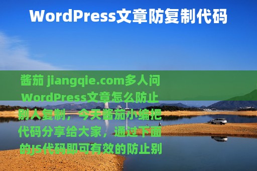 WordPress文章防复制代码