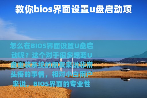 教你bios界面设置u盘启动项