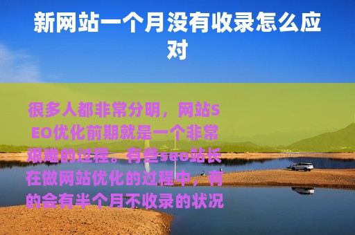 新网站一个月没有收录怎么应对