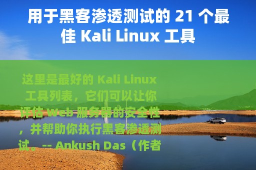 用于黑客渗透测试的 21 个最佳 Kali Linux 工具