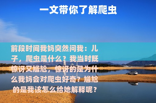 一文带你了解爬虫