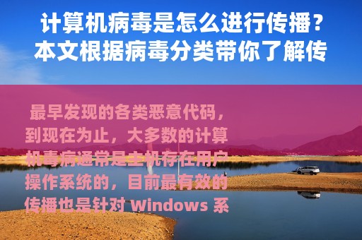 计算机病毒是怎么进行传播？本文根据病毒分类带你了解传播的方式