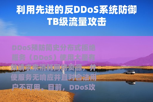 利用先进的反DDoS系统防御TB级流量攻击