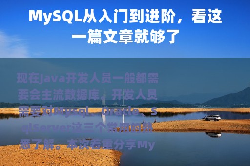 MySQL从入门到进阶，看这一篇文章就够了