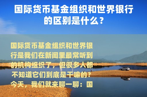 国际货币基金组织和世界银行的区别是什么？