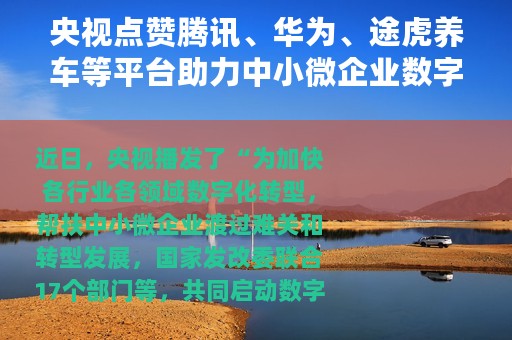 央视点赞腾讯、华为、途虎养车等平台助力中小微企业数字化转型升级
