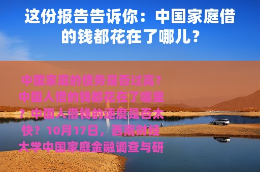 这份报告告诉你：中国家庭借的钱都花在了哪儿？