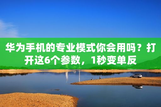 华为手机的专业模式你会用吗？打开这6个参数，1秒变单反