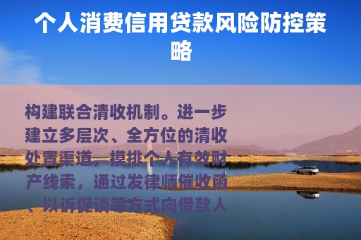个人消费信用贷款风险防控策略