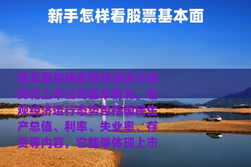 新手怎样看股票基本面