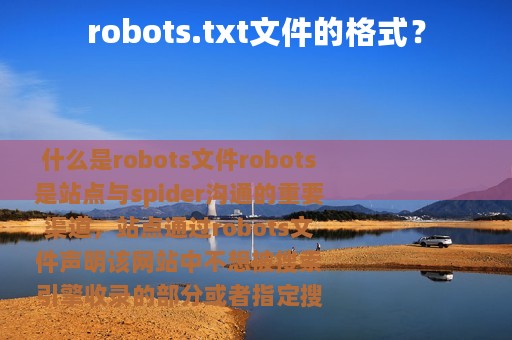robots.txt文件的格式？
