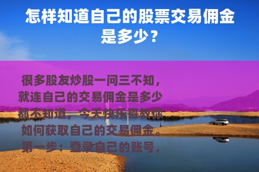 怎样知道自己的股票交易佣金是多少？