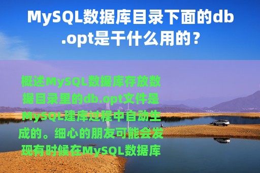 MySQL数据库目录下面的db.opt是干什么用的？