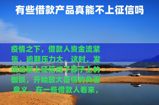 有些借款产品真能不上征信吗