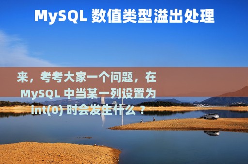 MySQL 数值类型溢出处理