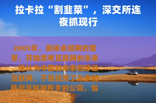 拉卡拉“割韭菜”，深交所连夜抓现行