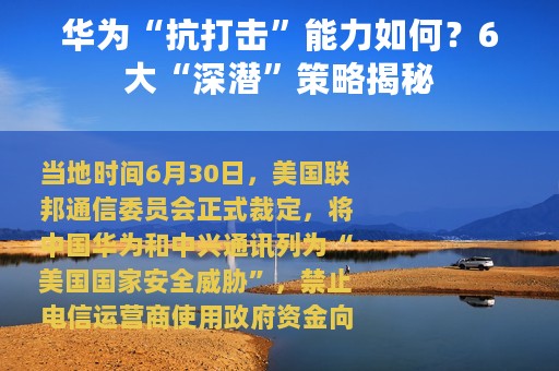 华为“抗打击”能力如何？6大“深潜”策略揭秘
