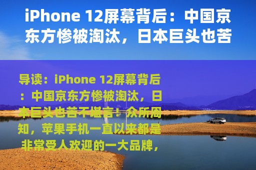 iPhone 12屏幕背后：中国京东方惨被淘汰，日本巨头也苦不堪言