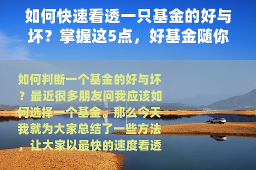 如何快速看透一只基金的好与坏？掌握这5点，好基金随你挑
