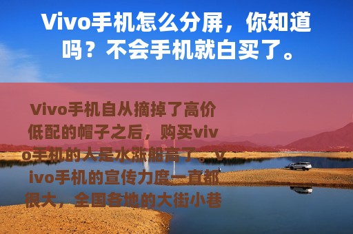 Vivo手机怎么分屏，你知道吗？不会手机就白买了。