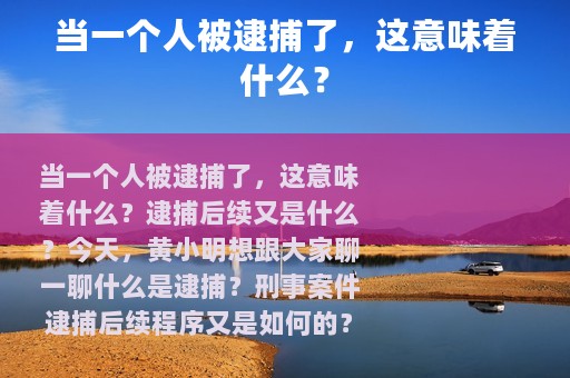当一个人被逮捕了，这意味着什么？
