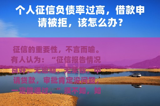 个人征信负债率过高，借款申请被拒，该怎么办？