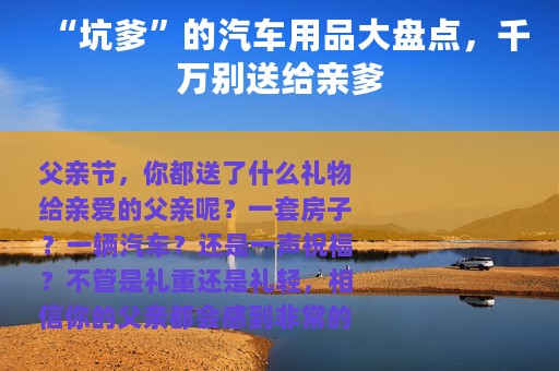 “坑爹”的汽车用品大盘点，千万别送给亲爹