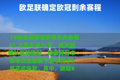 欧足联确定欧冠剩余赛程